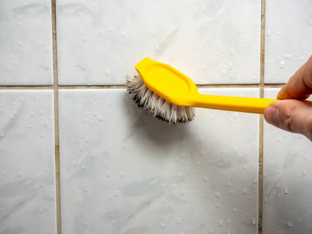 Best Home Mold Removal  in Hollywood Park, TX