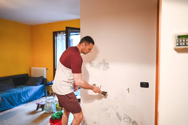 Best Affordable Mold Removal  in Hollywood Park, TX